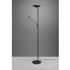 Trio Brantford Piantana LED Nero, 1-Luce