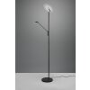 Trio Brantford Piantana LED Nero, 1-Luce