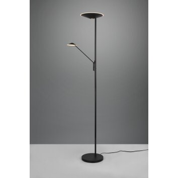 Trio Brantford Piantana LED Nero, 1-Luce