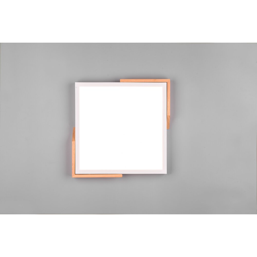 Reality Meta Plafoniera LED Bianco, 1-Luce