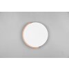 Reality Jano Plafoniera LED Bianco, 1-Luce