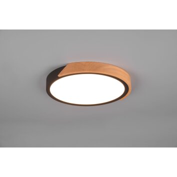 Reality Jano Plafoniera LED Nero, 1-Luce