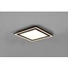 Reality Carus Plafoniera LED Nero, 1-Luce