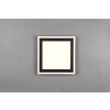 Reality Carus Plafoniera LED Nero, 1-Luce