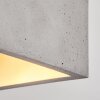 Stettler Plafoniera Grigio, 1-Luce