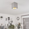 Stettler Plafoniera Grigio, 1-Luce