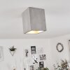 Stettler Plafoniera Grigio, 1-Luce