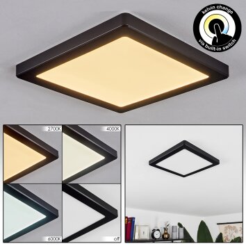 Canditas Plafoniera LED Nero, 1-Luce