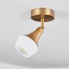 Venizy Plafoniera Ottone antico, 1-Luce