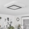 Wawo Plafoniera LED Bianco, 1-Luce, Telecomando