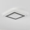 Wawo Plafoniera LED Bianco, 1-Luce, Telecomando
