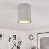 Stettler Plafoniera Grigio, 1-Luce