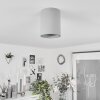 Stettler Plafoniera Grigio, 1-Luce