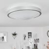 Subles Plafoniera LED Argento, Bianco, 1-Luce, Sensori di movimento