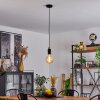 Brenier Lampadario a sospensione Legno scuro, Nero, 1-Luce