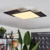 Barullu Plafoniera LED Legno chiaro, Nero, Bianco, 1-Luce