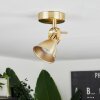 Salinas Plafoniera Ottone, 1-Luce