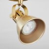 Salinas Plafoniera Ottone, 1-Luce