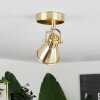 Salinas Plafoniera Ottone, 1-Luce