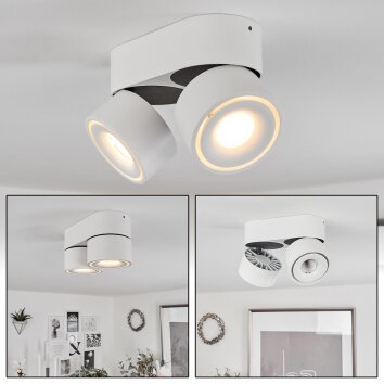 Laonsana Plafoniera LED Nero, Bianco, 2-Luci