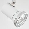 Lanrigan Plafoniera LED Cromo, Bianco, 3-Luci