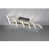 Trio Sequence Plafoniera LED Ottone, Nero, 1-Luce