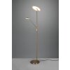 Trio Brantford Piantana LED Ottone antico, 1-Luce