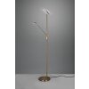 Trio Brantford Piantana LED Ottone antico, 1-Luce