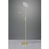 Trio Brantford Piantana LED Ottone, 1-Luce