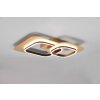 Trio Lugo Plafoniera LED Nero-Oro, 1-Luce