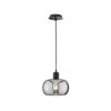 Fischer & Honsel Dima Lampada a Sospensione Nero, 1-Luce