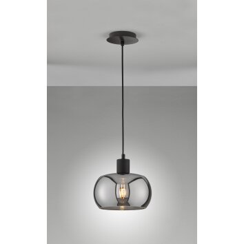 Fischer & Honsel Dima Lampada a Sospensione Nero, 1-Luce