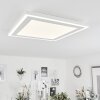 Audrieu Plafoniera LED Bianco, 2-Luci