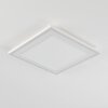 Audrieu Plafoniera LED Bianco, 2-Luci