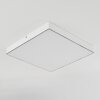 Mentque Plafoniera LED Bianco, 1-Luce