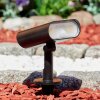 Usmagama Solar Faretto da giardino LED Nero, 1-Luce, Sensori di movimento, Cambia colore