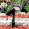 Usmagama Solar Faretto da giardino LED Nero, 1-Luce, Sensori di movimento, Cambia colore