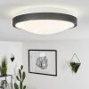 Subles Plafoniera LED Nero, Bianco, 1-Luce, Sensori di movimento