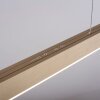Paul Neuhaus PURE-MOTO Lampada a Sospensione LED Ottone, 3-Luci, Telecomando
