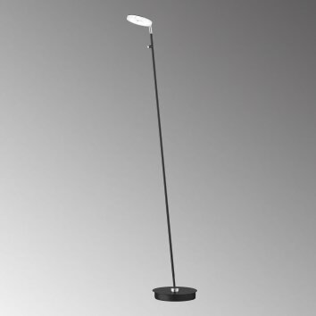 Fischer & Honsel Dent Lampada da terra LED Nero, 1-Luce