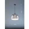 Fischer & Honsel Amos Lampadario a sospensione Nero, 1-Luce