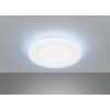 Fischer & Honsel Bolia Plafoniera LED Bianco, 1-Luce, Telecomando