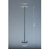 Fischer & Honsel Dent Lampada da terra LED Nero, 1-Luce