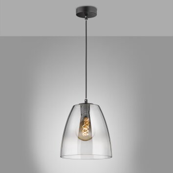 Fischer & Honsel Miro Lampadario a sospensione Nero, 1-Luce