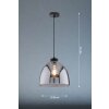 Fischer & Honsel Ren Lampada a Sospensione Nero, 1-Luce