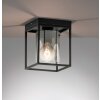 Fischer & Honsel Samu Plafoniera Nero, 1-Luce