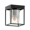 Fischer & Honsel Samu Plafoniera Nero, 1-Luce