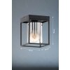 Fischer & Honsel Samu Plafoniera Nero, 1-Luce