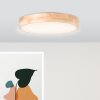 Brilliant Moreen Plafoniera LED Bianco, 1-Luce