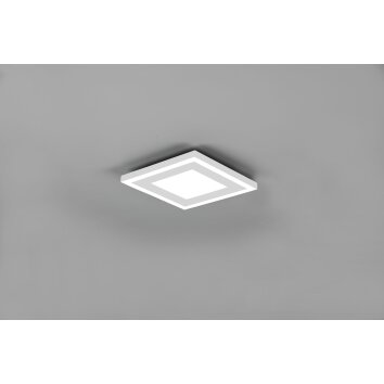 Reality Carus Plafoniera LED Bianco, 2-Luci